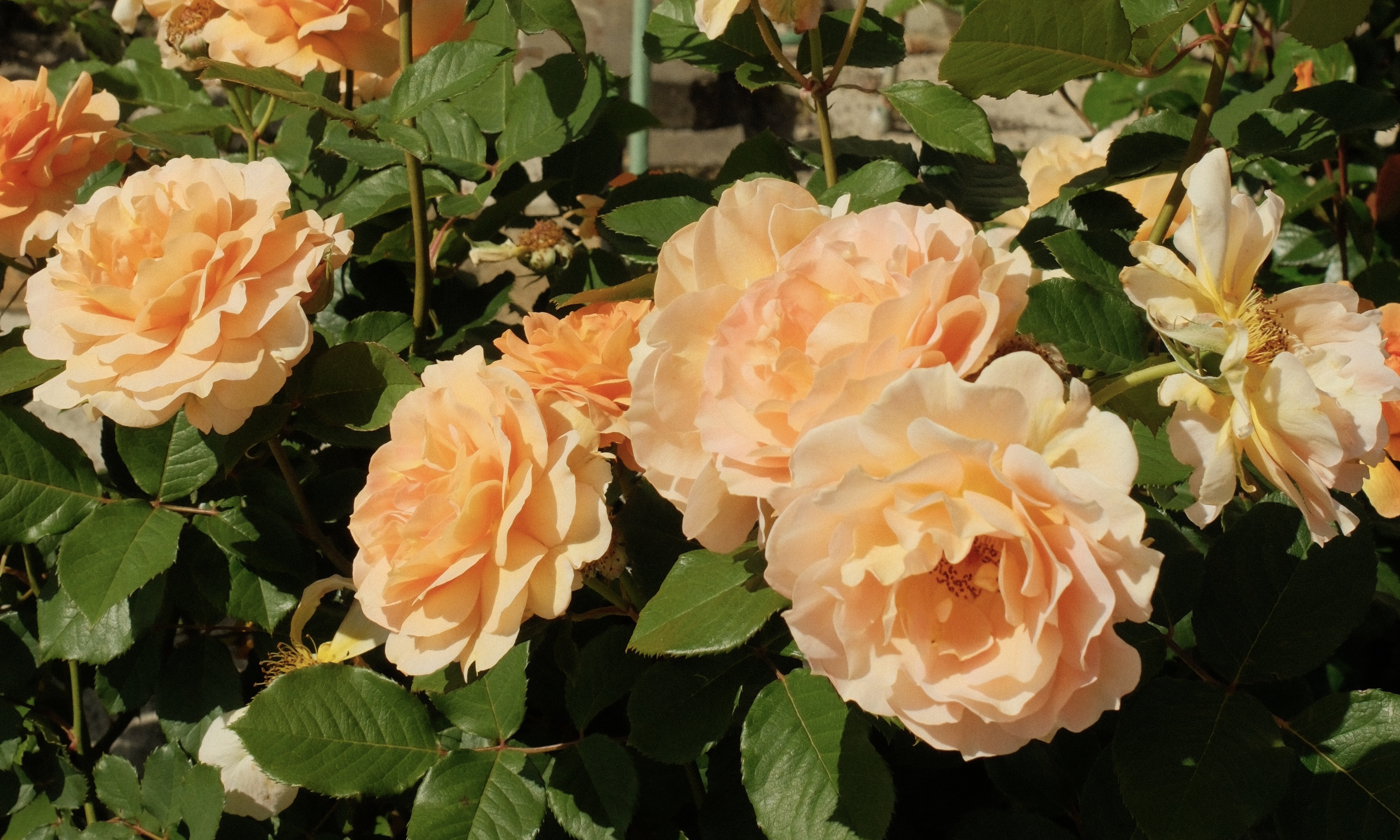 Spring is in the air!